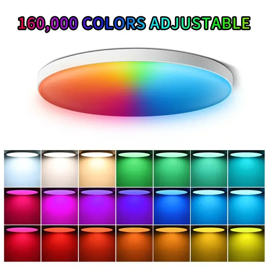 Adjustable White & RGB Colors