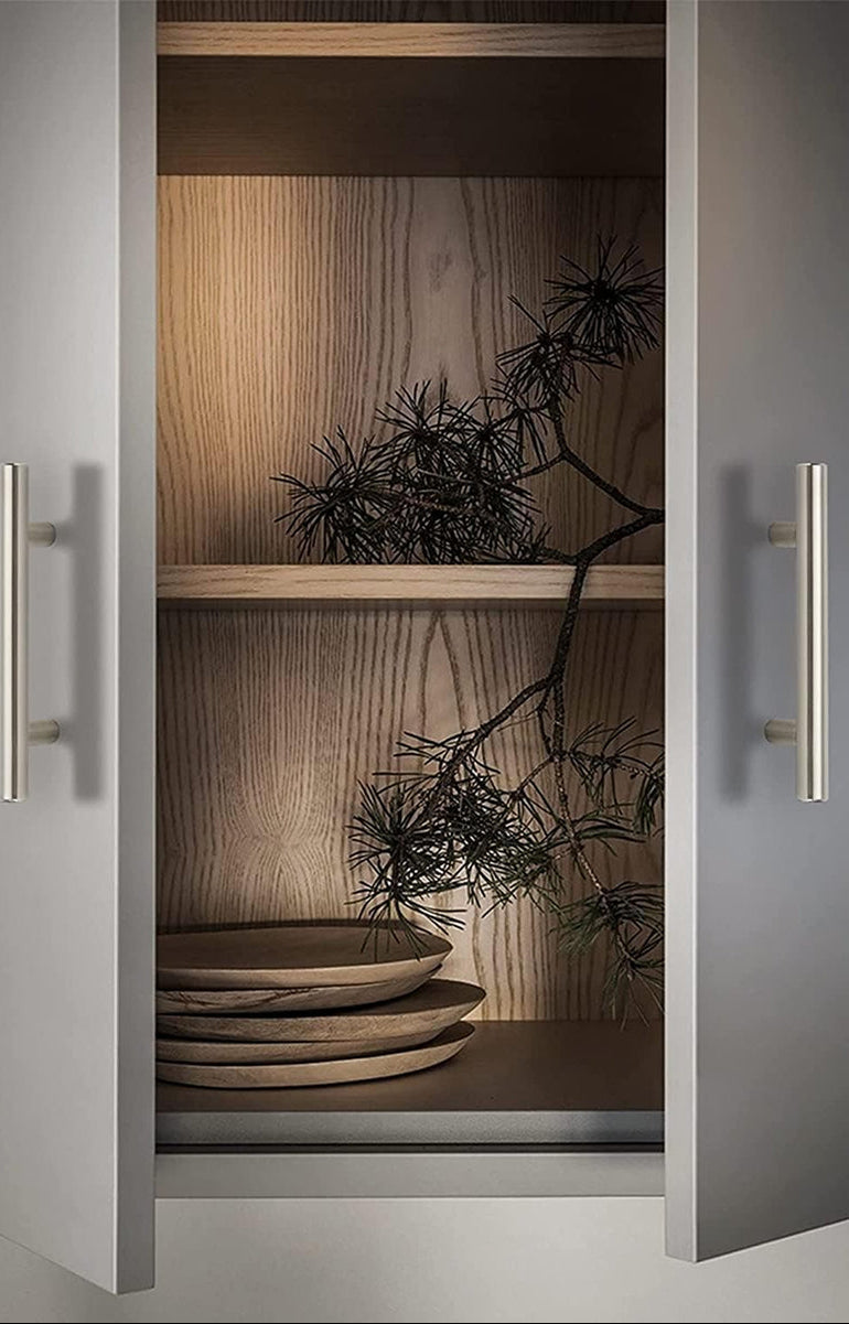 Open cabinet with wooden shelves displaying decorative items and a plant.