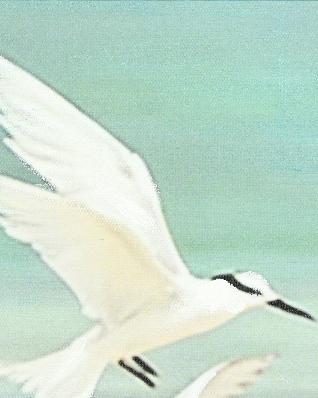 A Flurry of Wings white bird wall art close-up of a seabird in flight