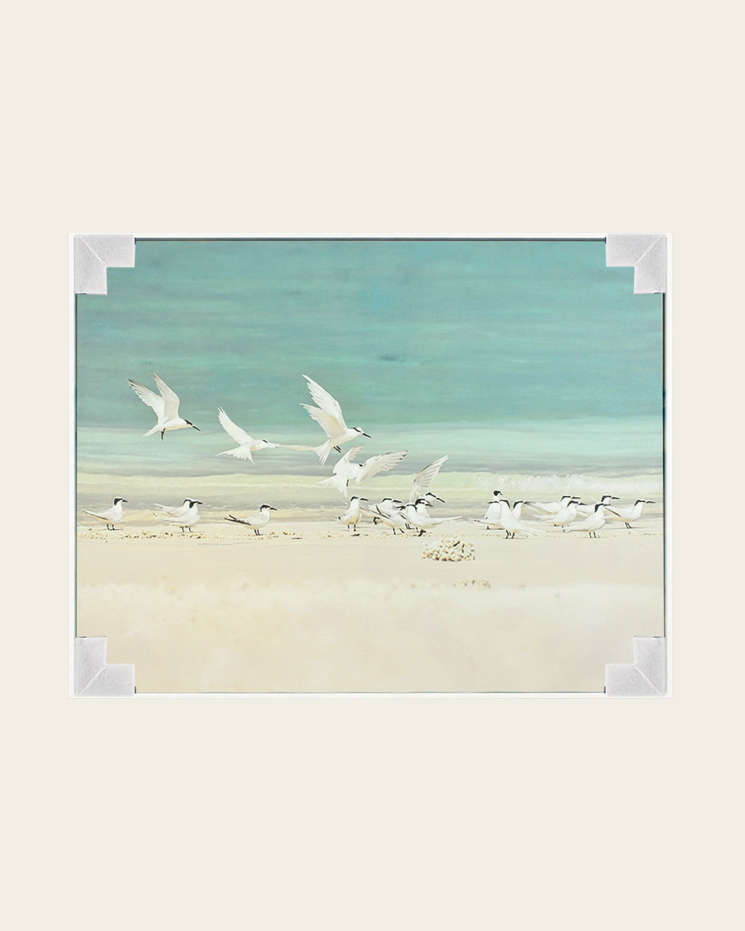A Flurry of Wings white bird wall art with corner protectors for delivery