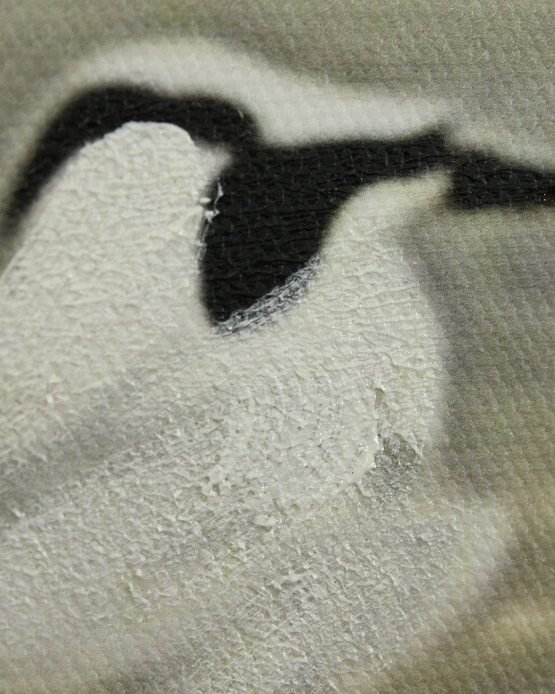 A Flurry of Wings white bird wall art close-up of a seabird wing