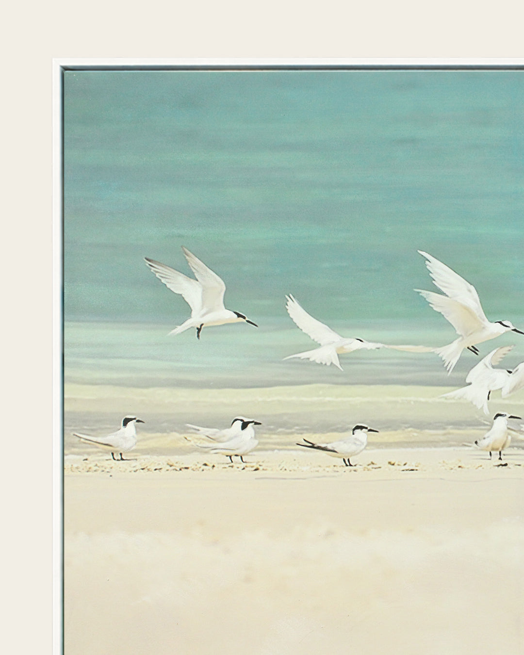 A Flurry of Wings white bird wall art white frame corner detail
