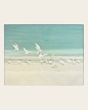 A Flurry of Wings white bird wall art front view in a white frame