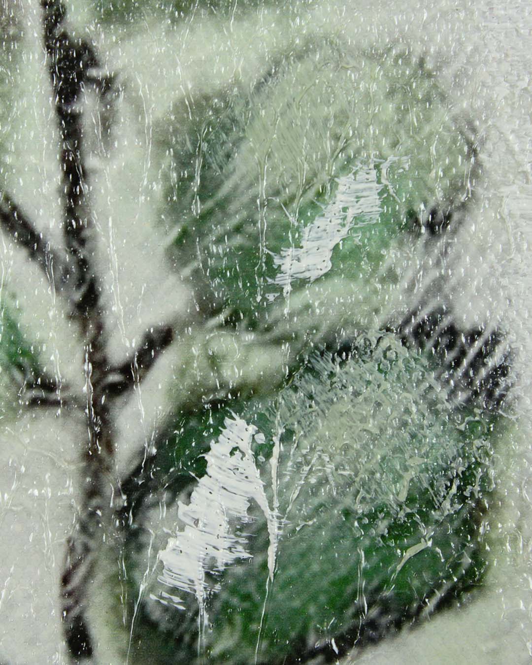 A Gentle Arrangement botanical still life canvas art close-up of the eucalyptus leaves