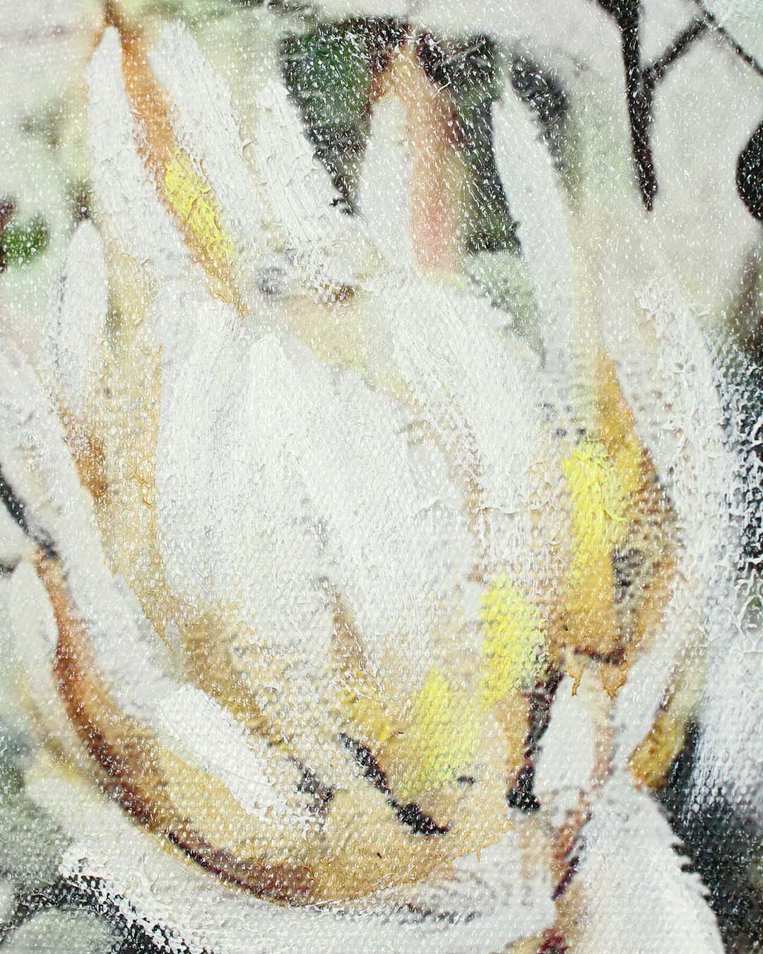 A Gentle Arrangement botanical still life canvas art close-up of the white protea flower