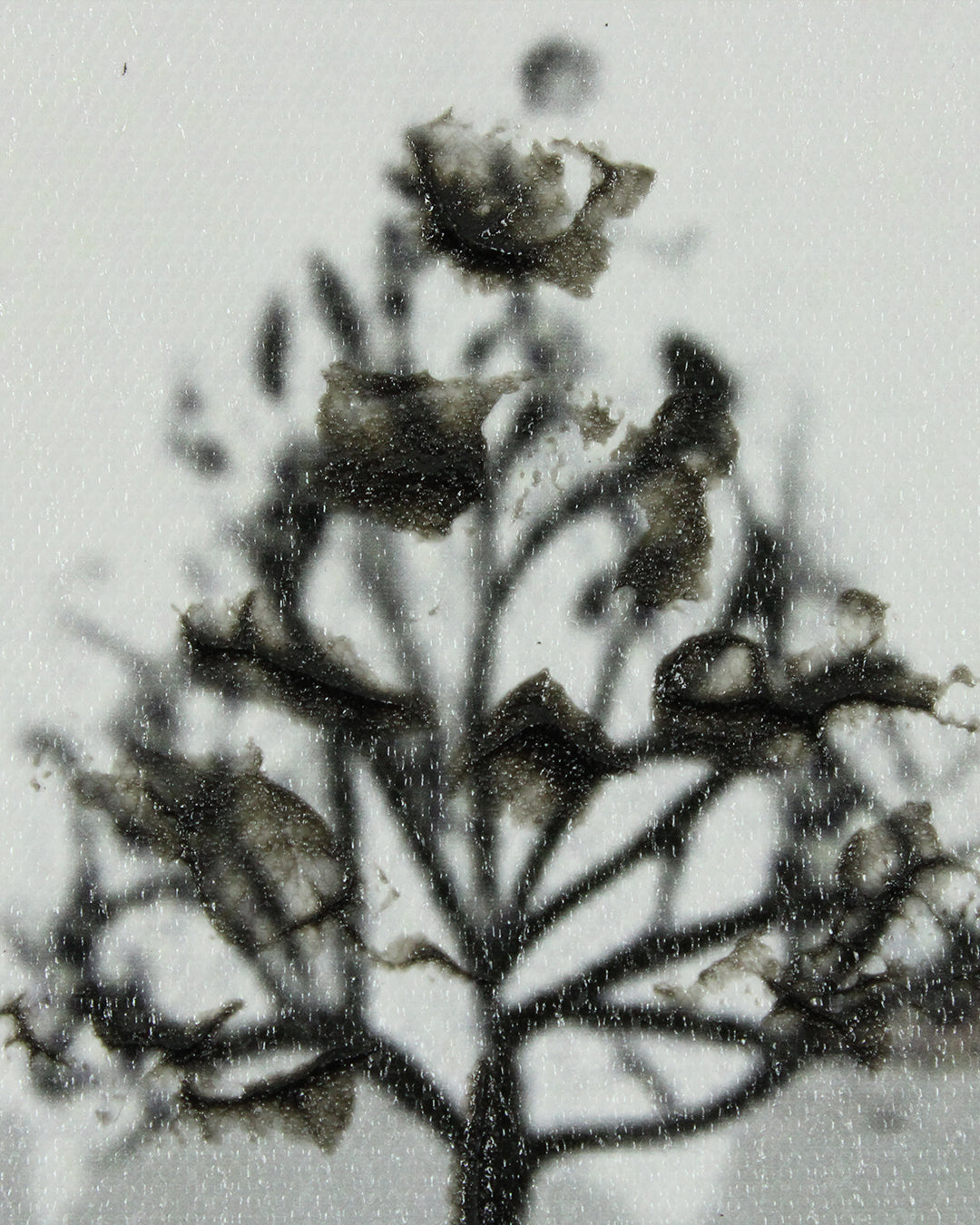 A Place Untouched monochrome lake wall art close-up of the hand-embellished tree