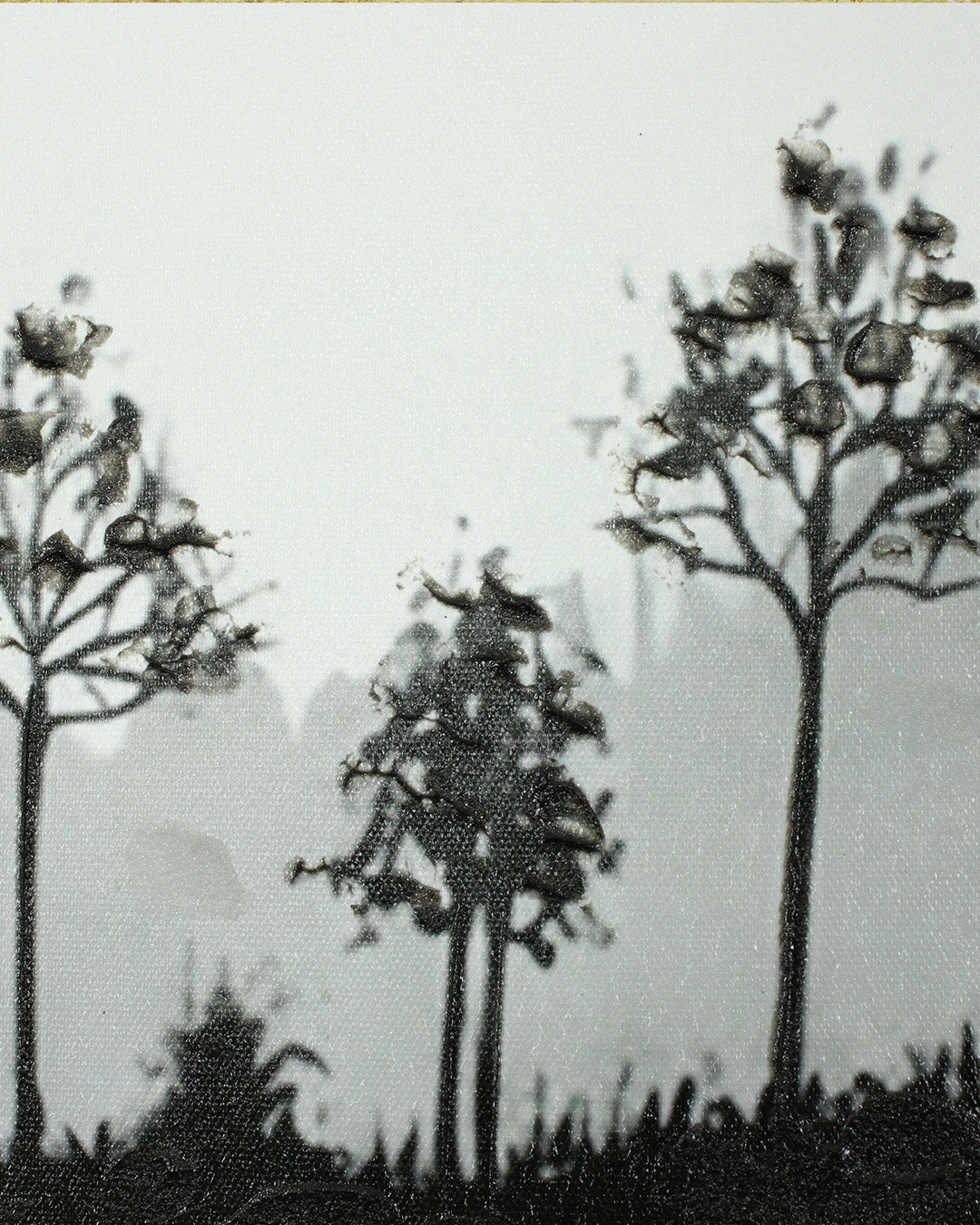 A Place Untouched monochrome lake wall art close-up of the lakeside trees