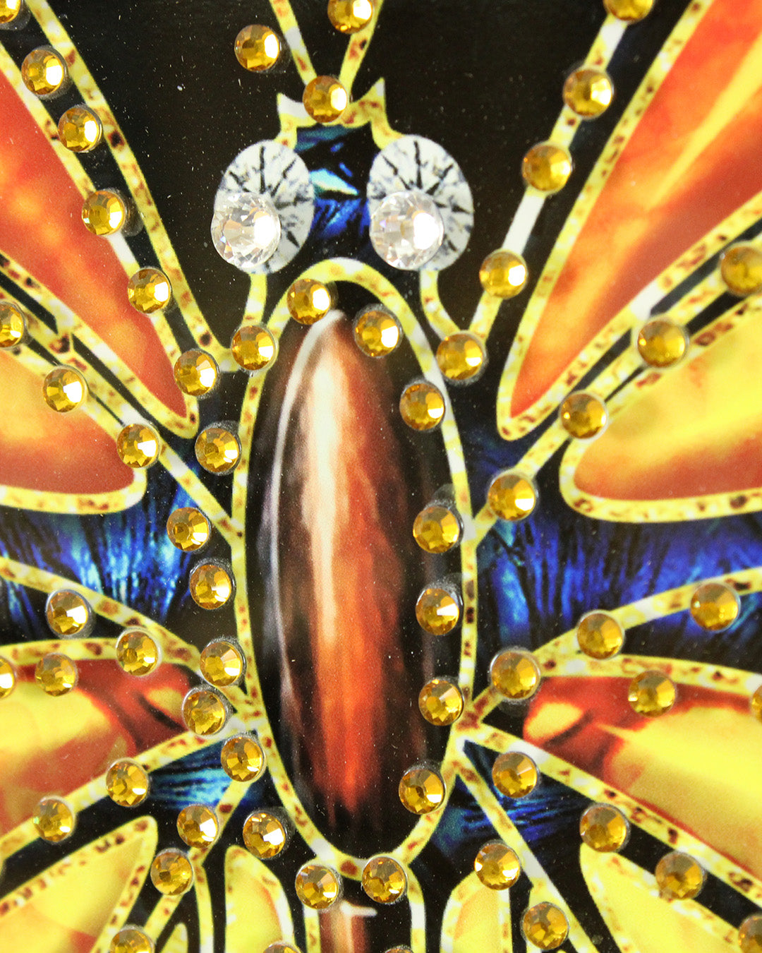 Metamorphosis round butterfly glass wall art close-up of the butterfly body