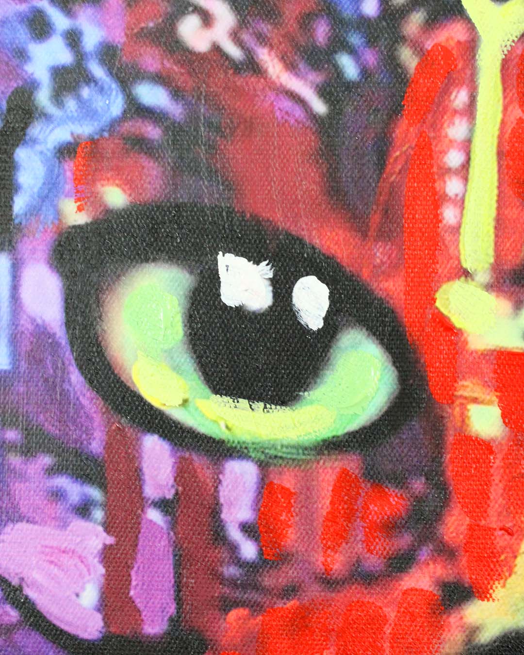 Night Watch colourful cat wall art close-up of the cat's eye