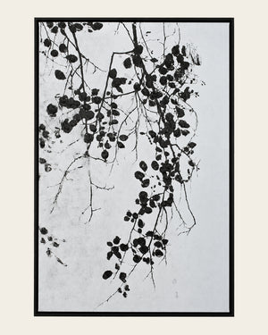 Silent Growth botanical painting front view in a black frame