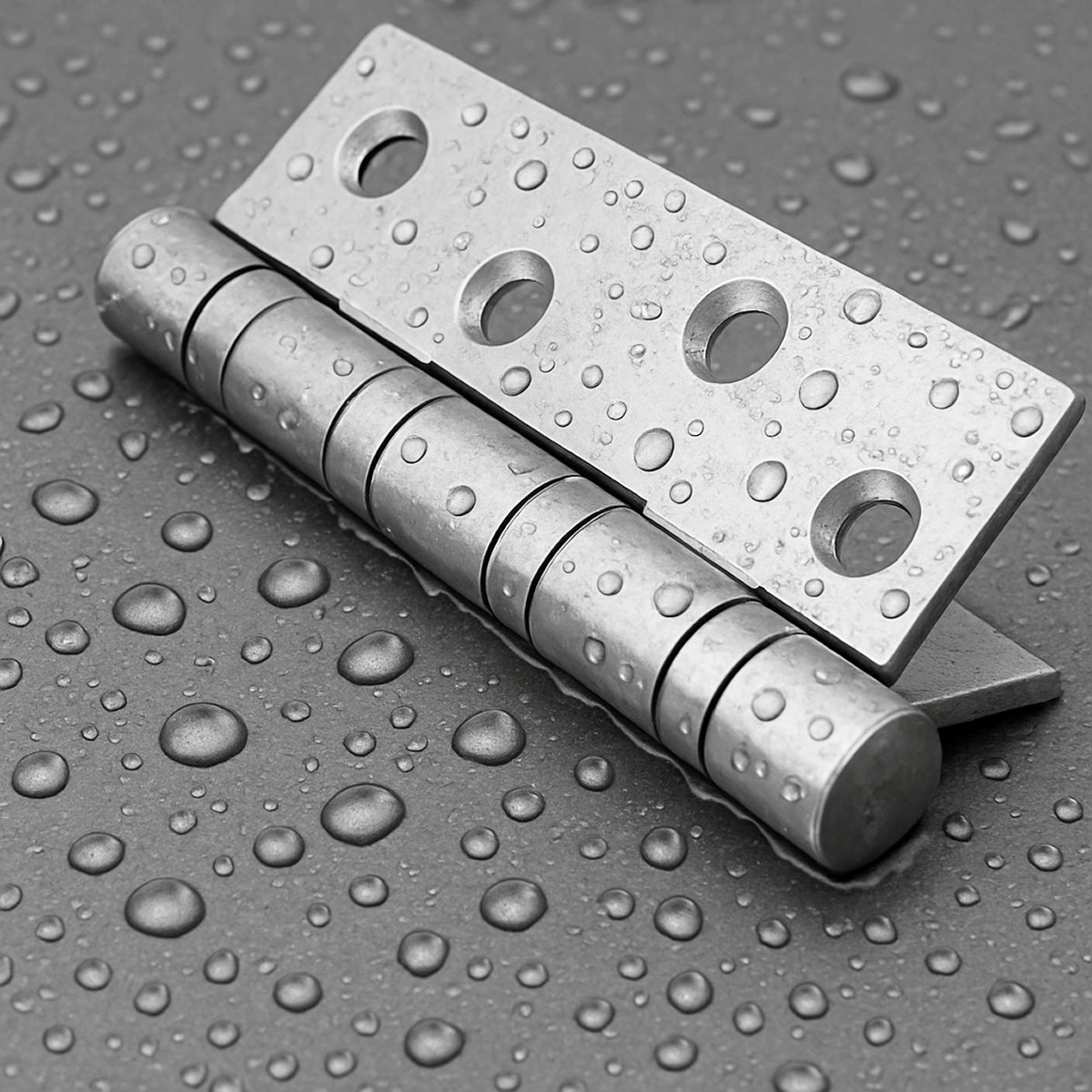 Silver 4 inch rust resistant door hinges