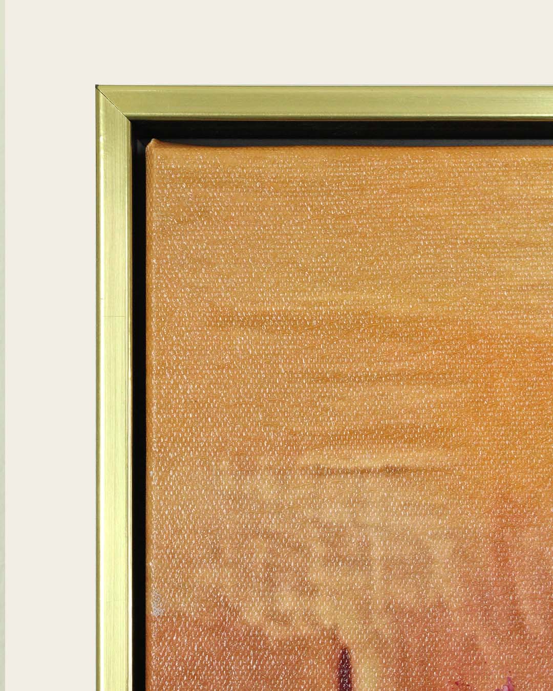 Spectrum colourful rainbow feather wall art gold and black frame corner detail