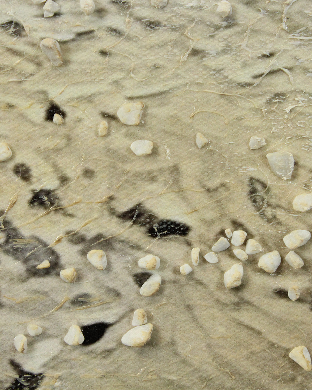 The Turning beach posts wall art close-up of the textured sand and shells