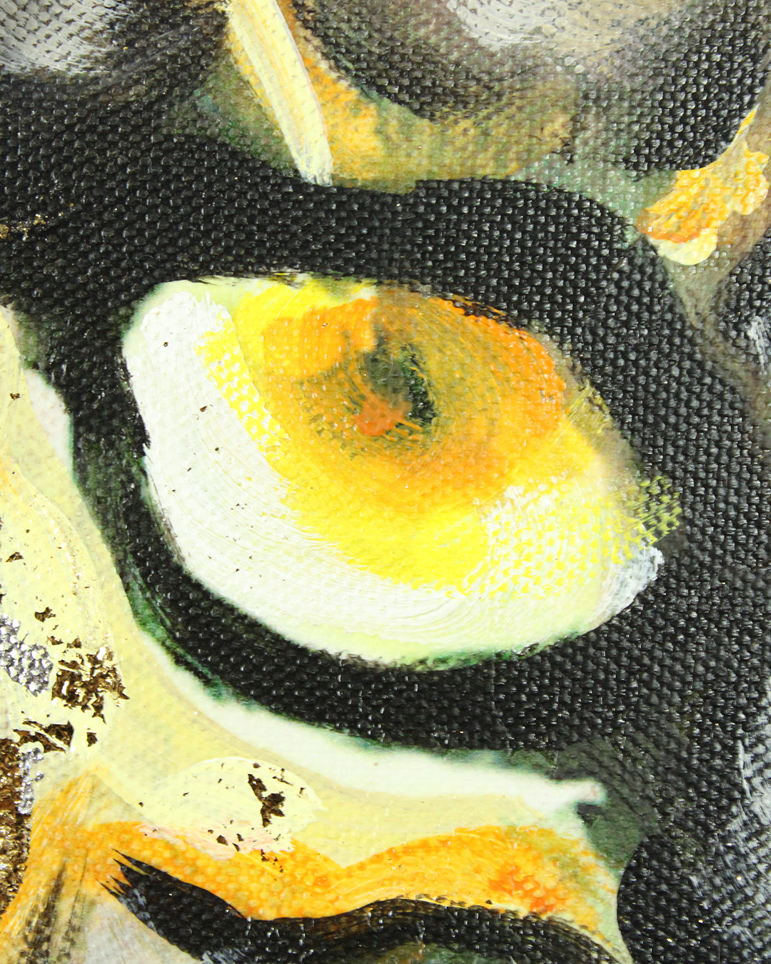Without Fear illuminated lion wall art close-up of the lion eye